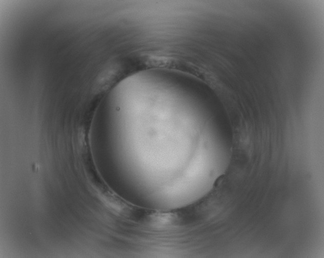 X0000062890711200601131334