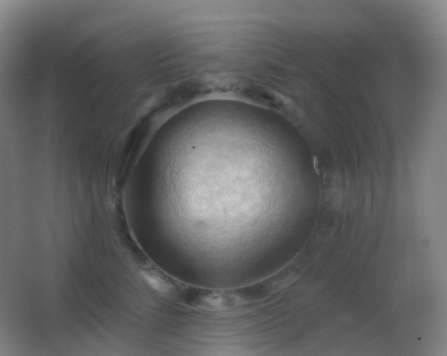 X0000062890712200601131334