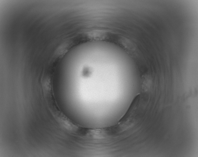 X0000062890713200601131334