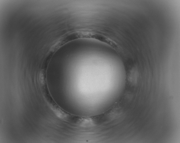 X0000062890715200601131334