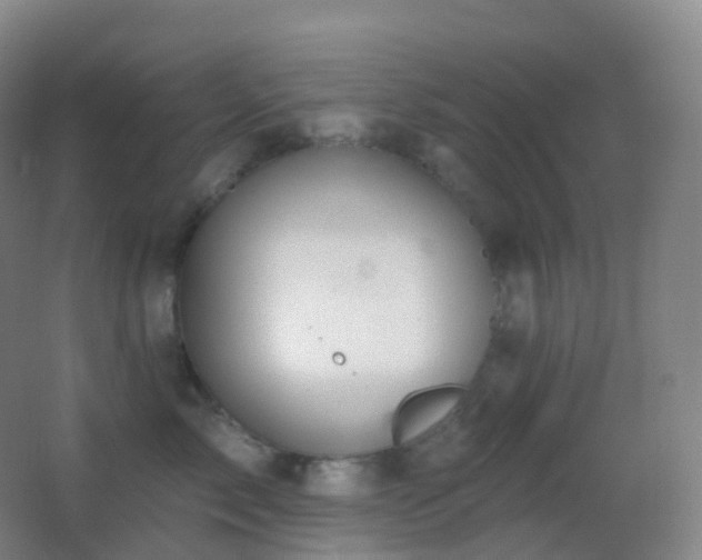 X0000062890717200601131334