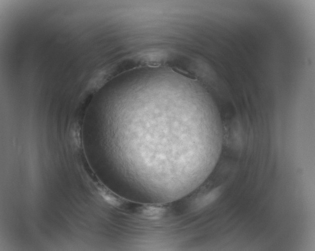 X0000062890718200601131334