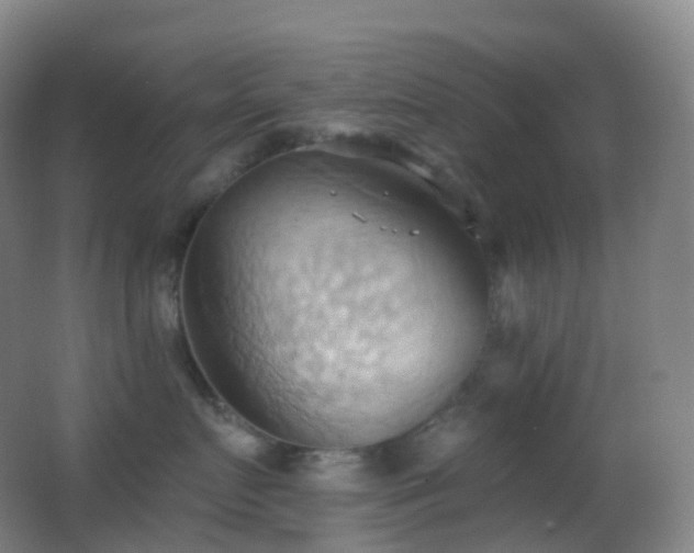 X0000062890719200601131334