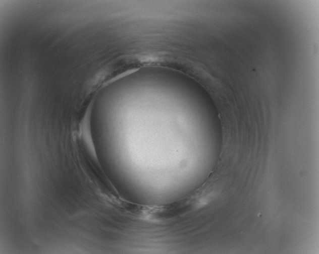 X0000062890720200601131334