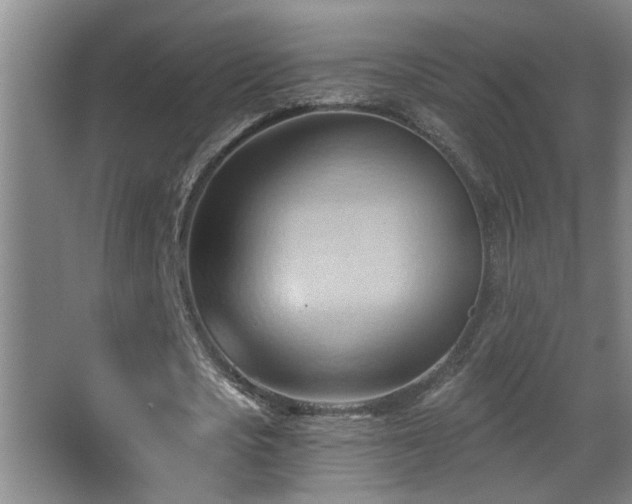 X0000062890721200601131333