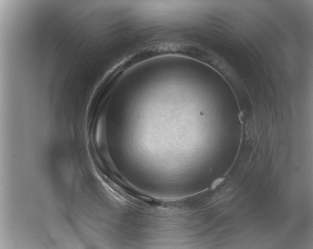 X0000062890722200601131333