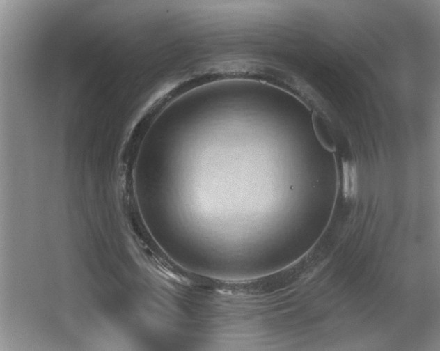 X0000062890723200601131333