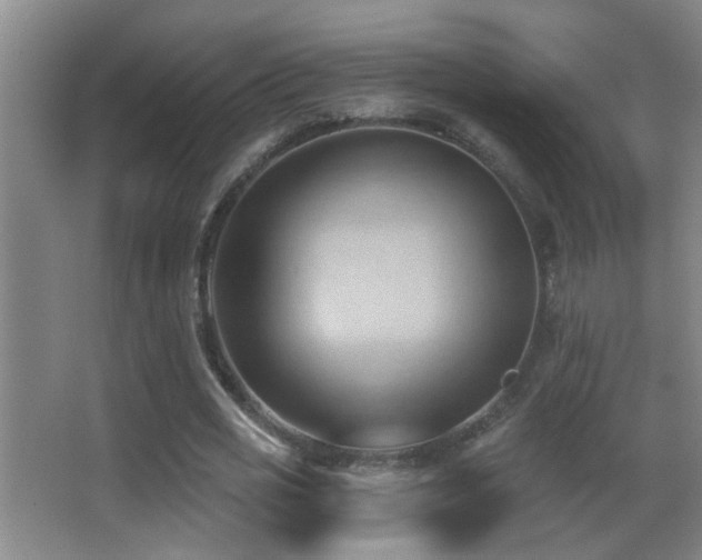 X0000062890725200601131334