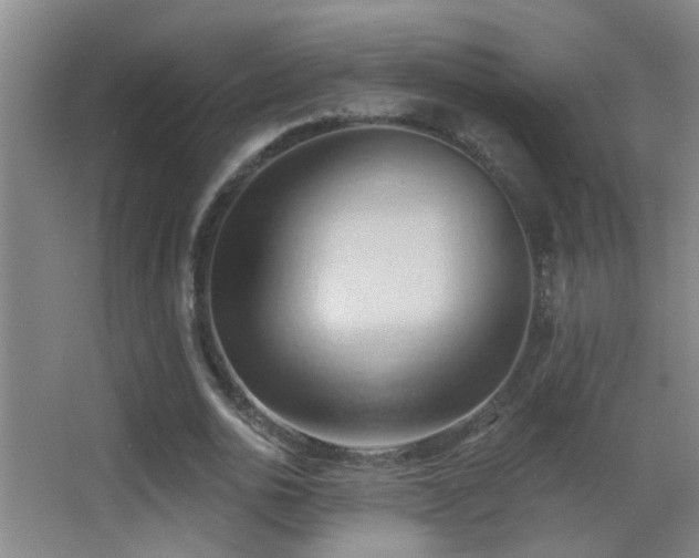 X0000062890726200601131334