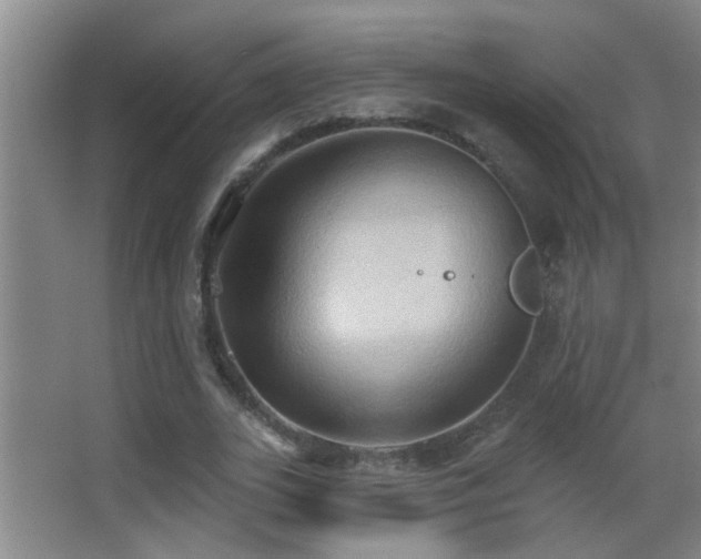 X0000062890727200601131334