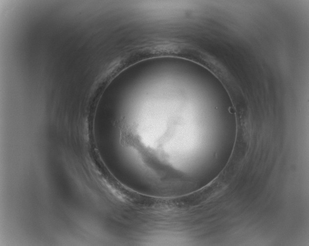 X0000062890729200601131334