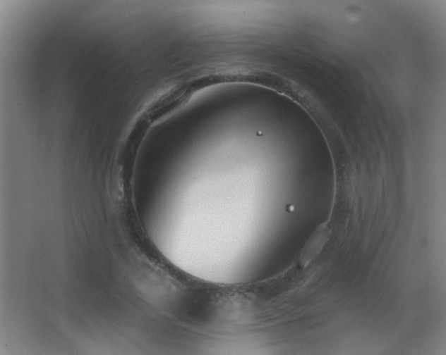 X0000062890731200601131334