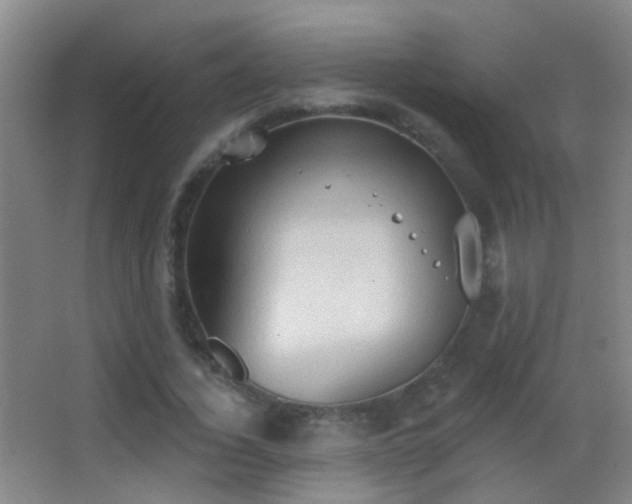 X0000062890732200601131334