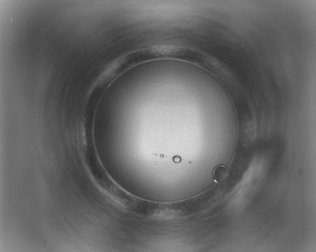 X0000062890734200601131334