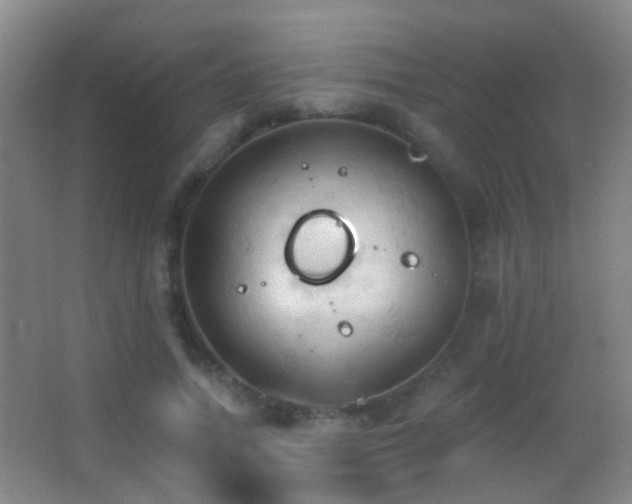 X0000062890738200601131334