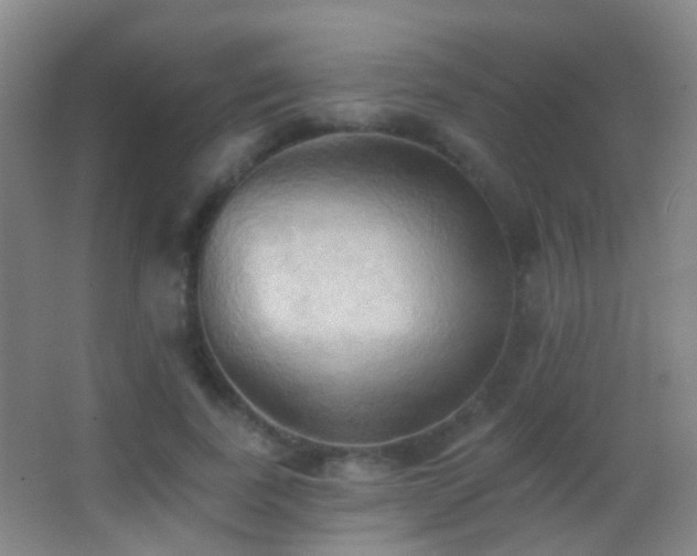 X0000062890739200601131334