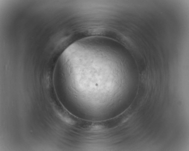 X0000062890741200601131334