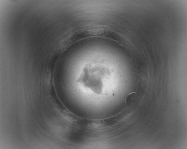 X0000062890745200601131334