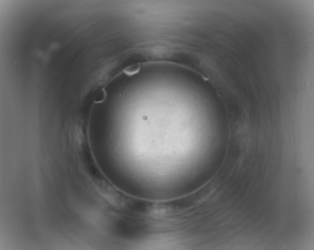 X0000062890746200601131334