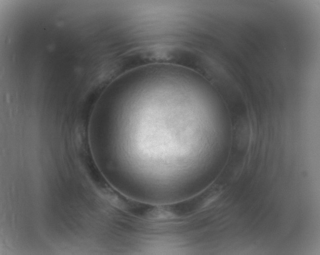 X0000062890747200601131334