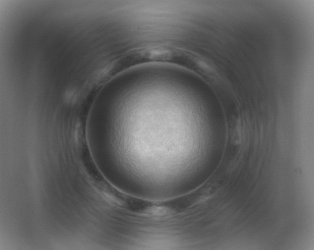 X0000062890748200601131334