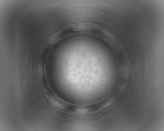 X0000062890749200601131334