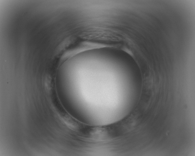 X0000062890750200601131334