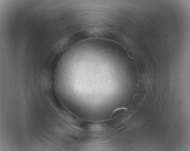 X0000062890751200601131334