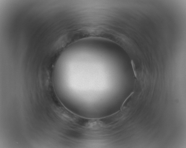 X0000062890752200601131334