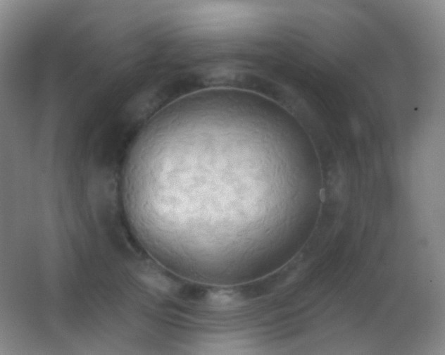 X0000062890753200601131334