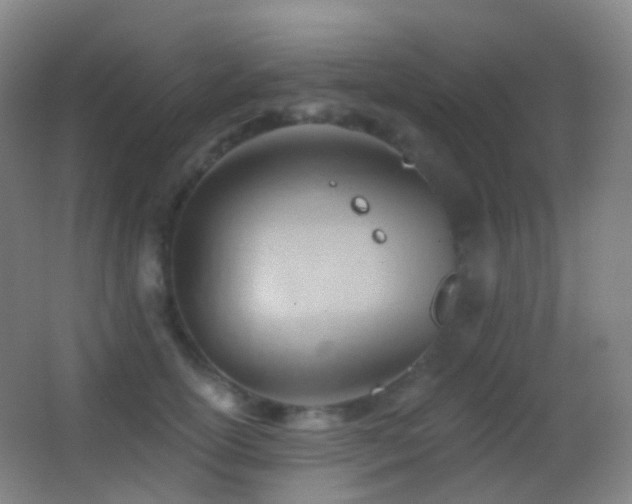 X0000062890754200601131334