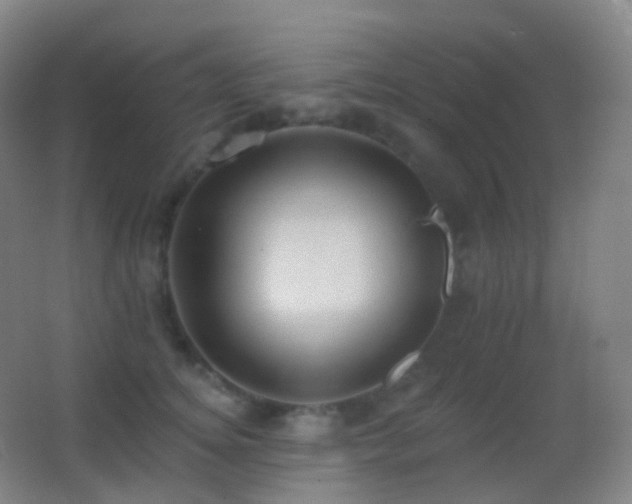 X0000062890756200601131334