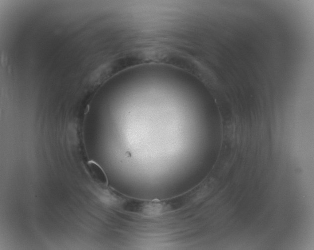 X0000062890757200601131334