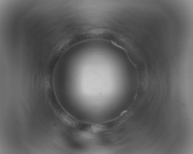 X0000062890758200601131334