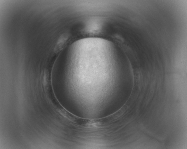 X0000062890760200601131334