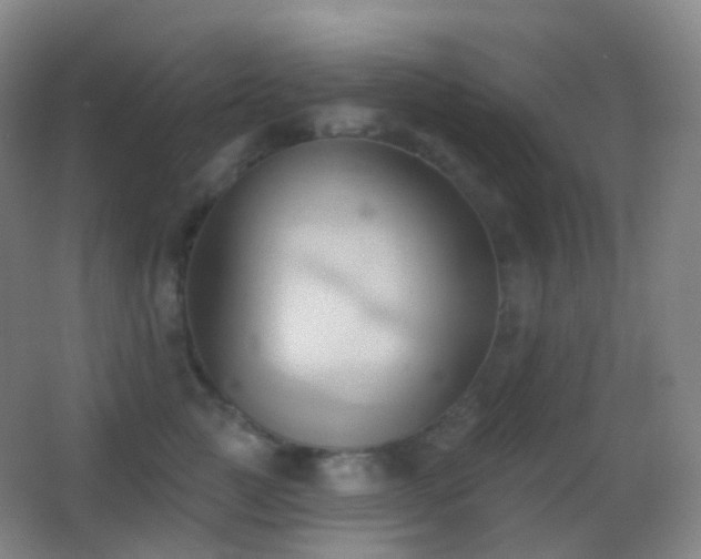 X0000062890761200601131334