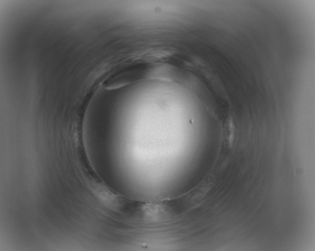 X0000062890762200601131334