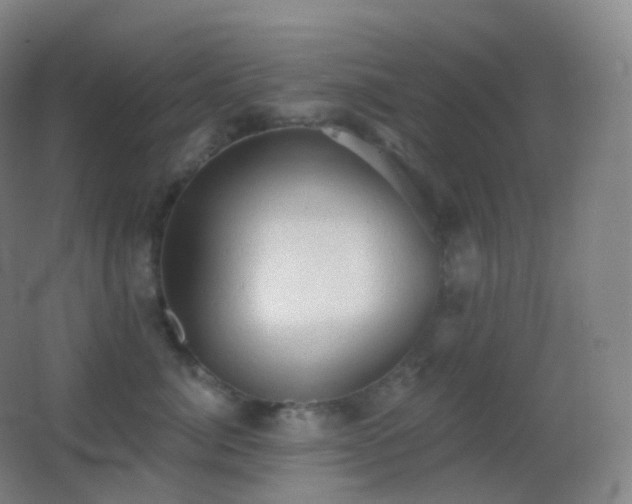 X0000062890764200601131334