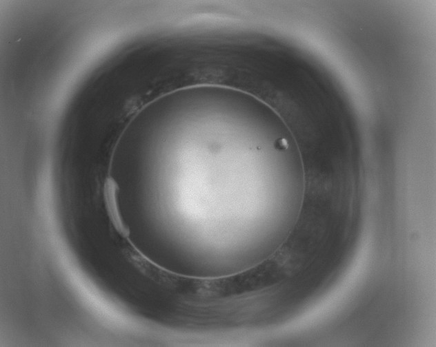 X0000062890765200601131334