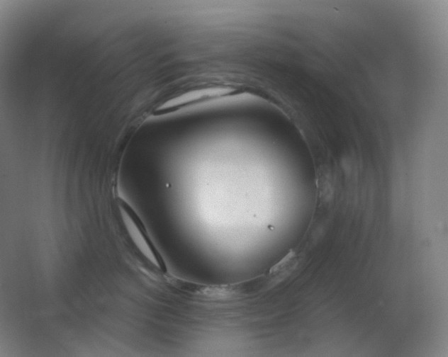 X0000062890766200601131334