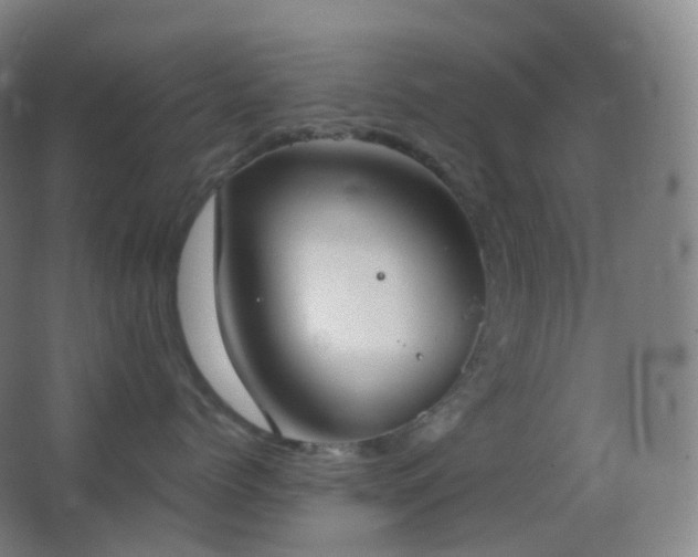 X0000062890768200601131334