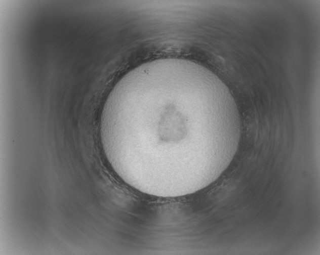 X0000062890769200601131333