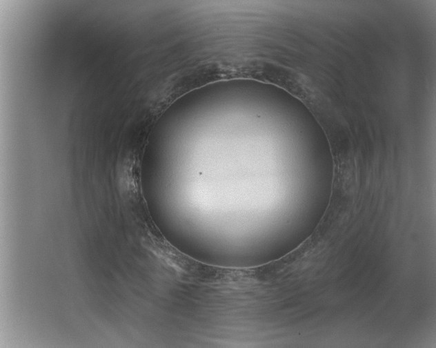 X0000062890770200601131333