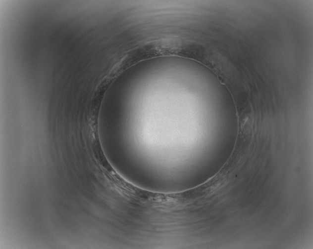 X0000062890772200601131333