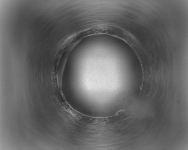 X0000062890773200601131333