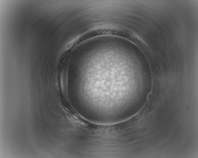 X0000062890775200601131333