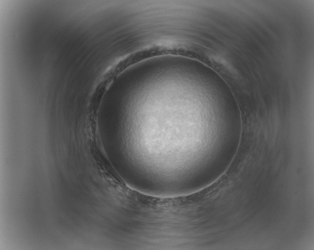 X0000062890776200601131333