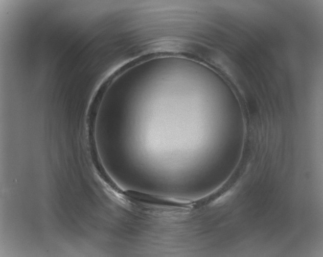 X0000062890779200601131333