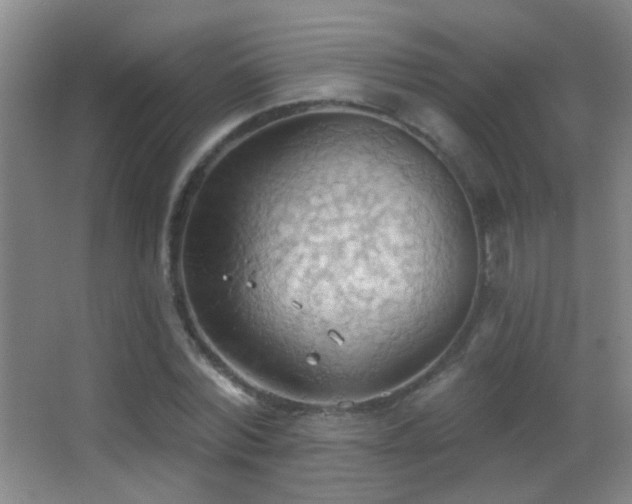 X0000062890780200601131333