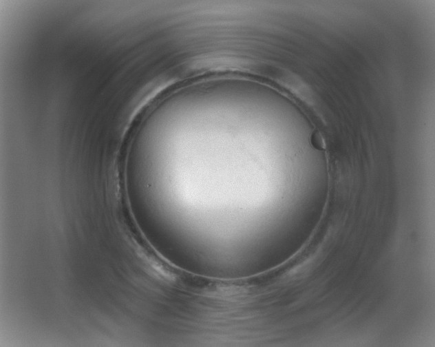 X0000062890782200601131333